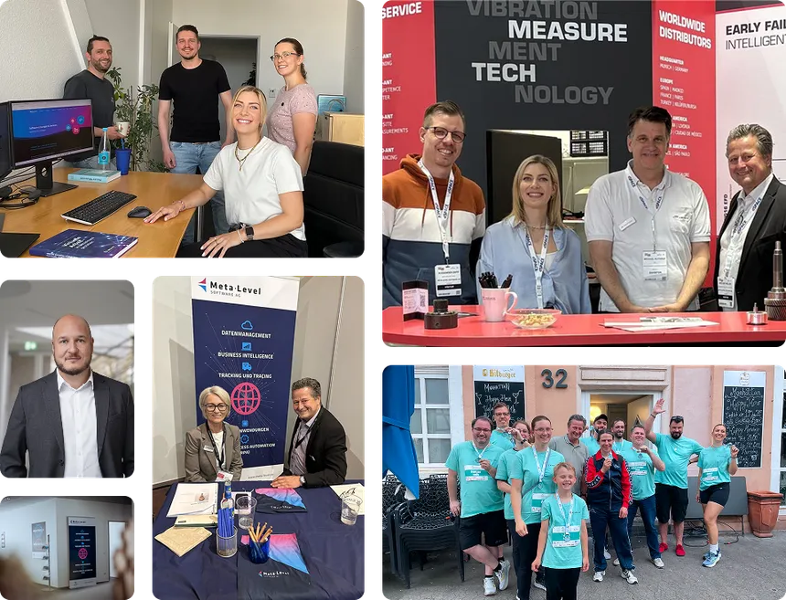 Team Meta-Level Software AG