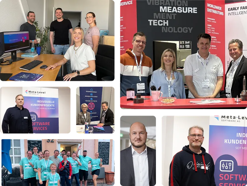 Team Meta-Level Software AG